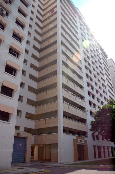 Blk 529 Jelapang Road (Bukit Panjang), HDB 4 Rooms #219152